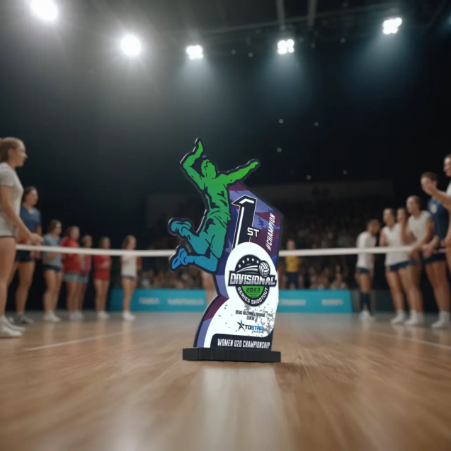 volleyball tournament trophy_Sick Trophies_Post_1